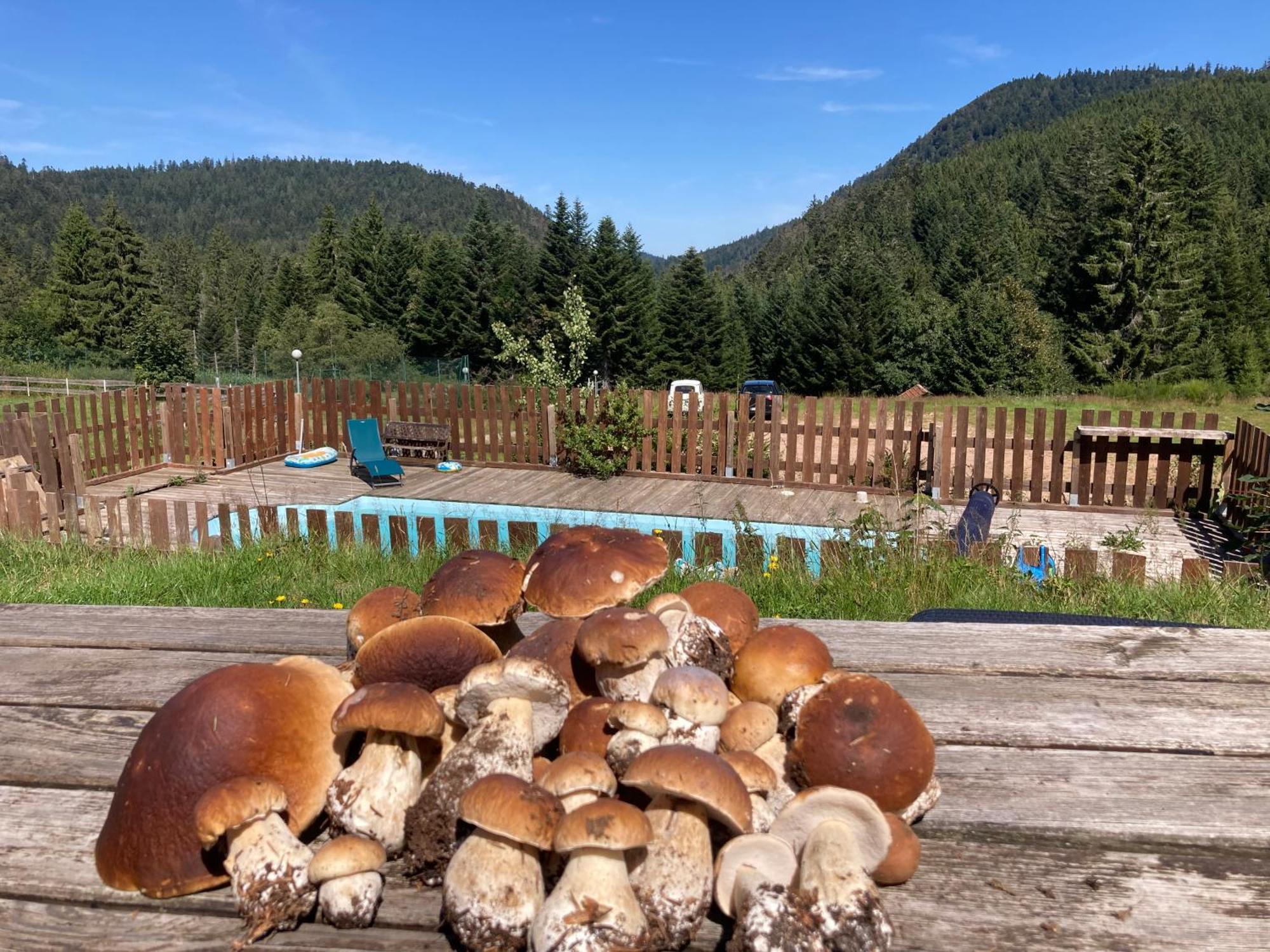Le Perchoir, Gite 7 Personnes, Le Grand Valtin Ban-sur-Meurthe-Clefcy Zewnętrze zdjęcie