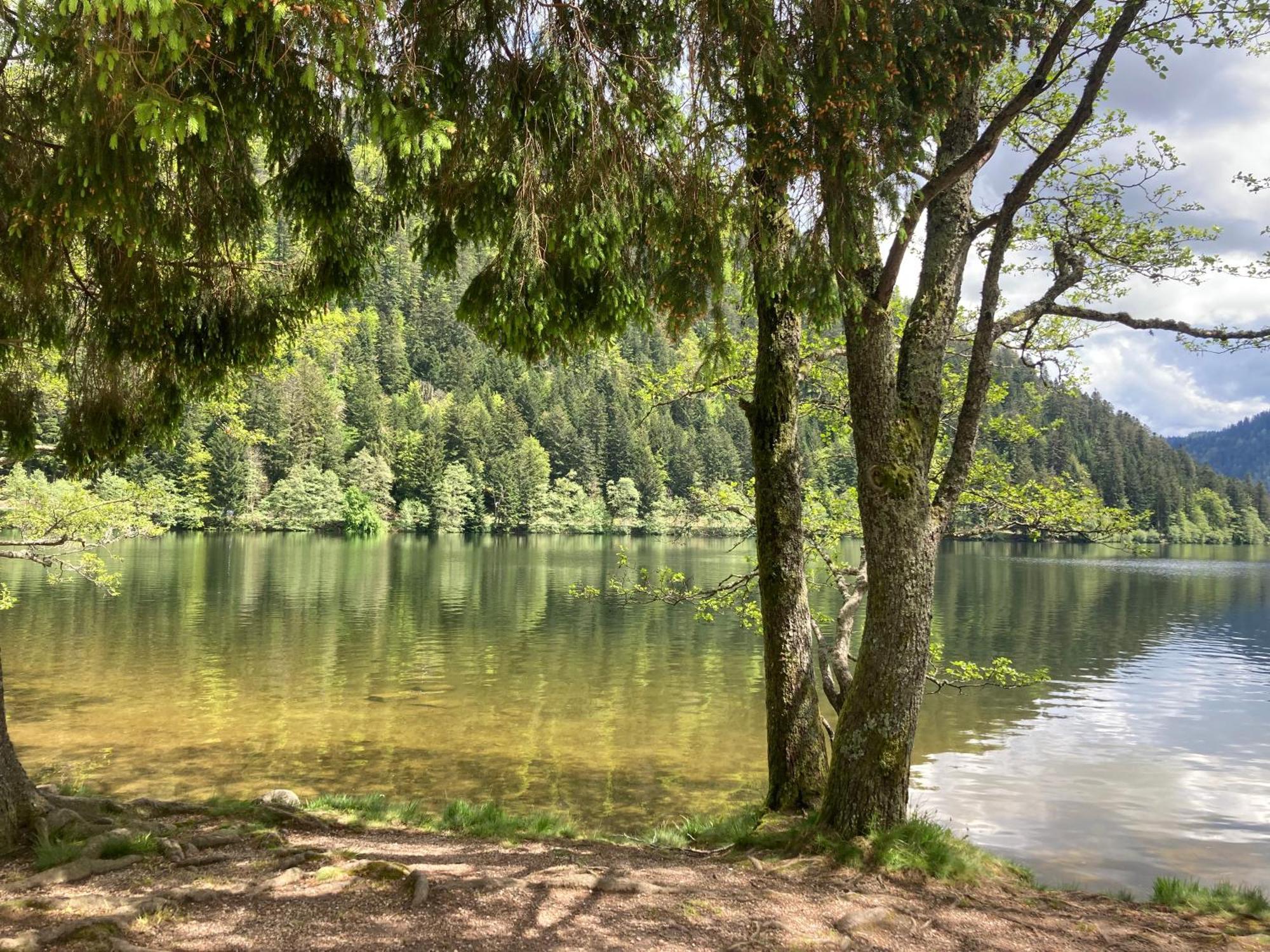 Le Perchoir, Gite 7 Personnes, Le Grand Valtin Ban-sur-Meurthe-Clefcy Zewnętrze zdjęcie