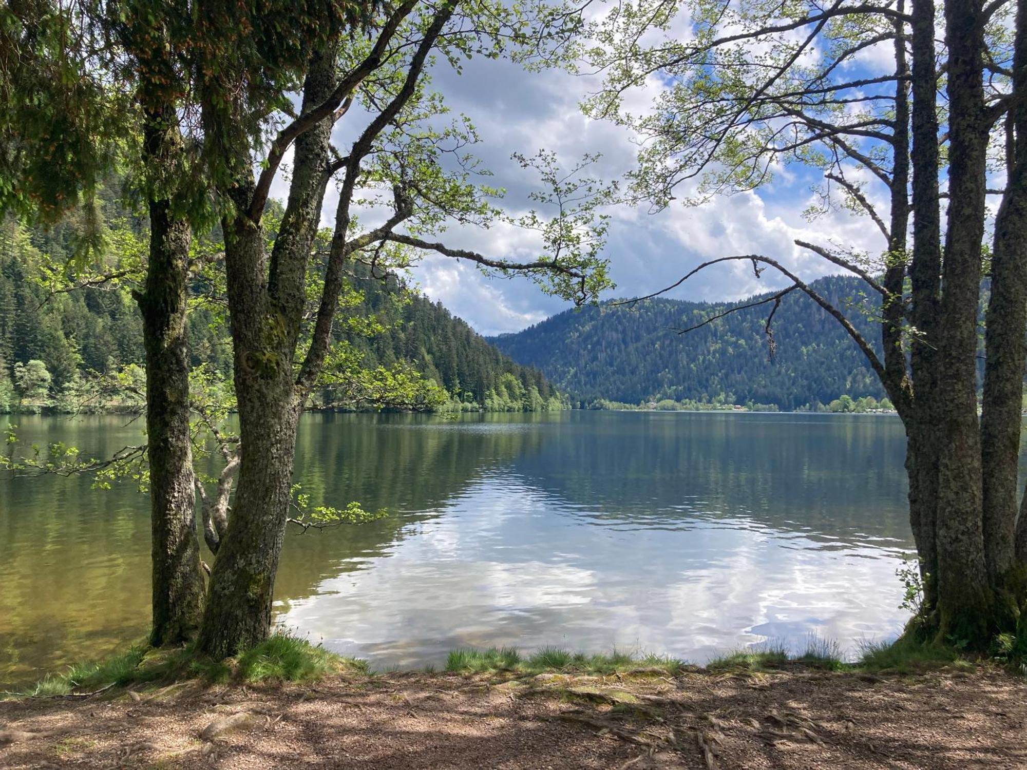 Le Perchoir, Gite 7 Personnes, Le Grand Valtin Ban-sur-Meurthe-Clefcy Zewnętrze zdjęcie